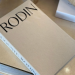 RODİN DEKORATİF KİTAP KUTUSU