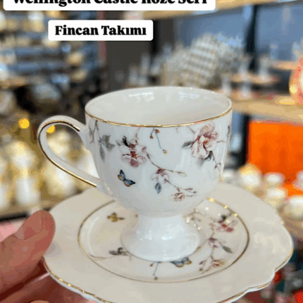 6 Kişilik Wellington Casttle Roze Fincan Seti