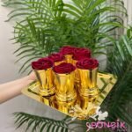 6 ADET Kırmızı GÜL VE GÜL KOVASI