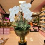 Dövme Vazo ve Orkide