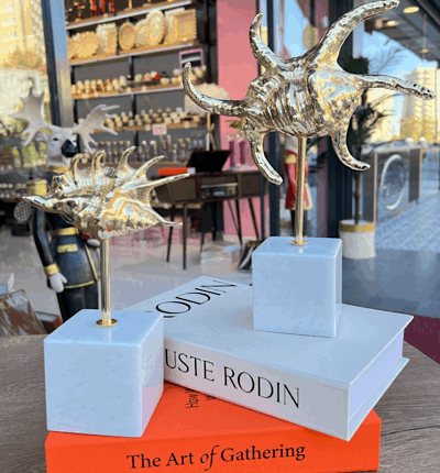 2’Li Deniz Kabuğu Mermer Detay