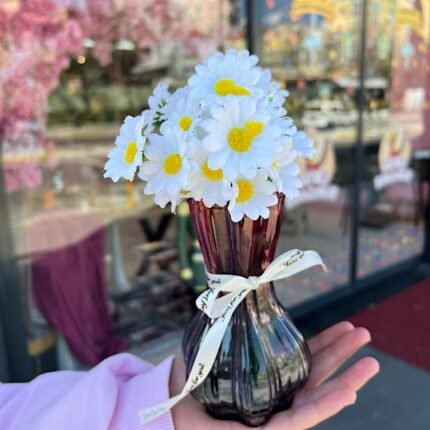 Salon & Konsol & Tv Ünitesi & Banyo i Aranjman - Bordo Papatya - ÇİÇEK DAHİL