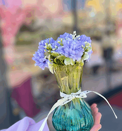 Salon & Konsol & Tv Ünitesi & Banyo i Aranjman - Yeşil MOR - ÇİÇEK DAHİL