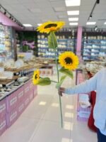 3 Dal Ay Çiçeği - Görsel 2