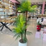 Salon Dekoru PALMİYE  Ağaç