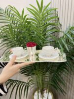 Tiamo Çay Kahve Sunum Tepsisi DİKDÖRTGEN GÜMÜŞ - Görsel 5