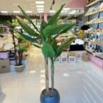 Salon Dekoru MUZ  Ağacı