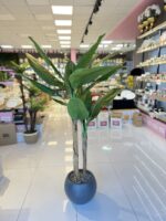 Salon Dekoru MUZ Ağacı