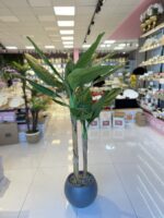 Salon Dekoru MUZ Ağacı - Görsel 2