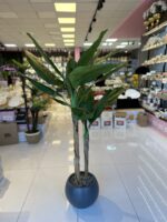 Salon Dekoru MUZ Ağacı - Görsel 3