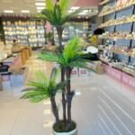 Salon Dekoru PALMİYE  Ağaç