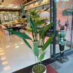 Salon Dekoru Starliçe Ağaç