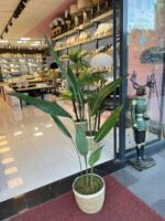 Salon Dekoru Starliçe Ağaç