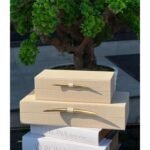 2’Li FİL DİŞİ KUTU KREM