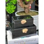 2’Li Native Cam Kutu **Siyah