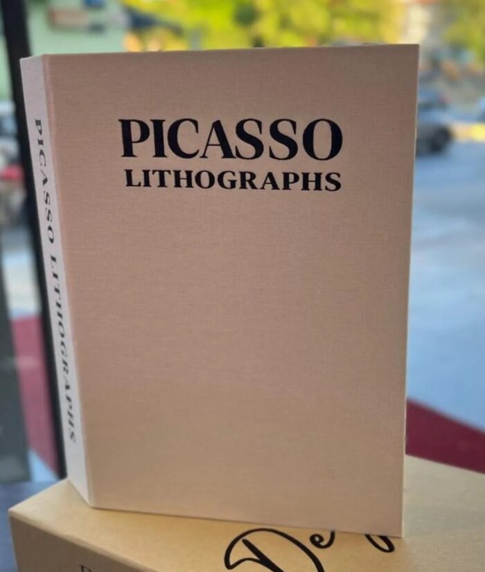 Kumaş Dokulu Picasso Model Dekor Kitap - Görsel 1
