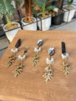 5’Li  GÜMÜŞ BAŞLIK SERVİS & SUNUMLUK - Görsel 2