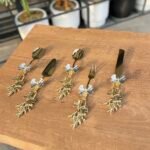 5’Li  TİTANYUM GOLD BAŞLIK SERVİS & SUNUMLUK