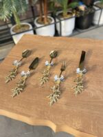 5’Li TİTANYUM GOLD BAŞLIK SERVİS & SUNUMLUK