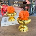 2’Li  SÜKULENT DEKOR KUTU