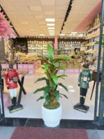 Salon Ağacı Dekoru ÇİFTRENK AYAZ