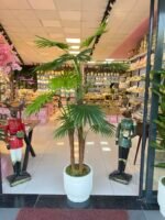 Salon Ağacı Dekoru **ASLANPENÇESİ