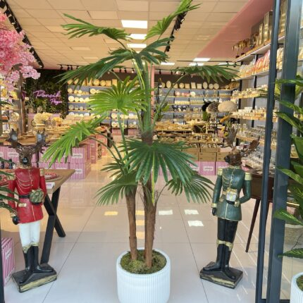 Salon Ağacı Dekoru **ASLANPENÇESİ