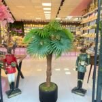 Salon Ağacı  Dekoru PALMİYE