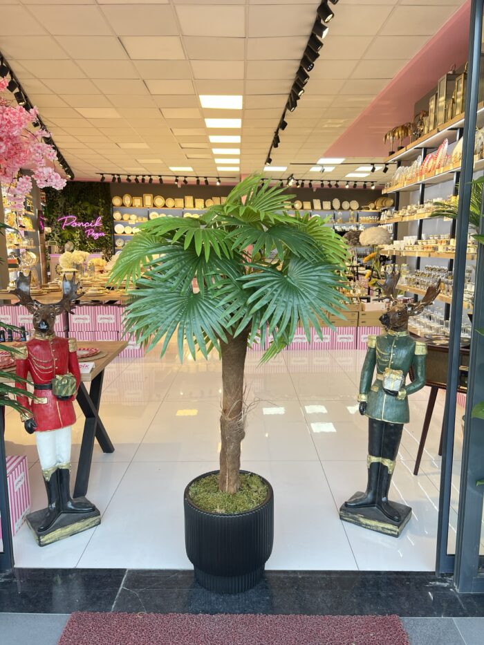 Salon Ağacı  Dekoru PALMİYE - Görsel 1