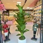 Salon Ağacı  Dekoru Difanbalya