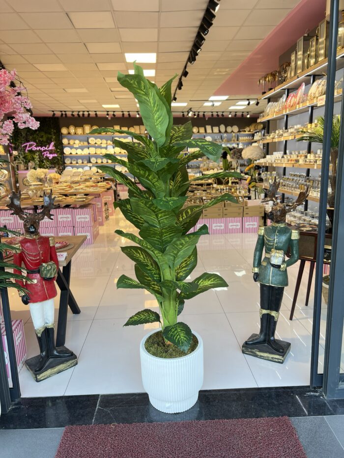 Salon Ağacı  Dekoru Difanbalya - Görsel 2