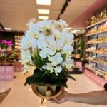 5 Dal Orkide yapay çiçek