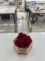 Mini Altıgen Takı Kutusu - Görsel 3