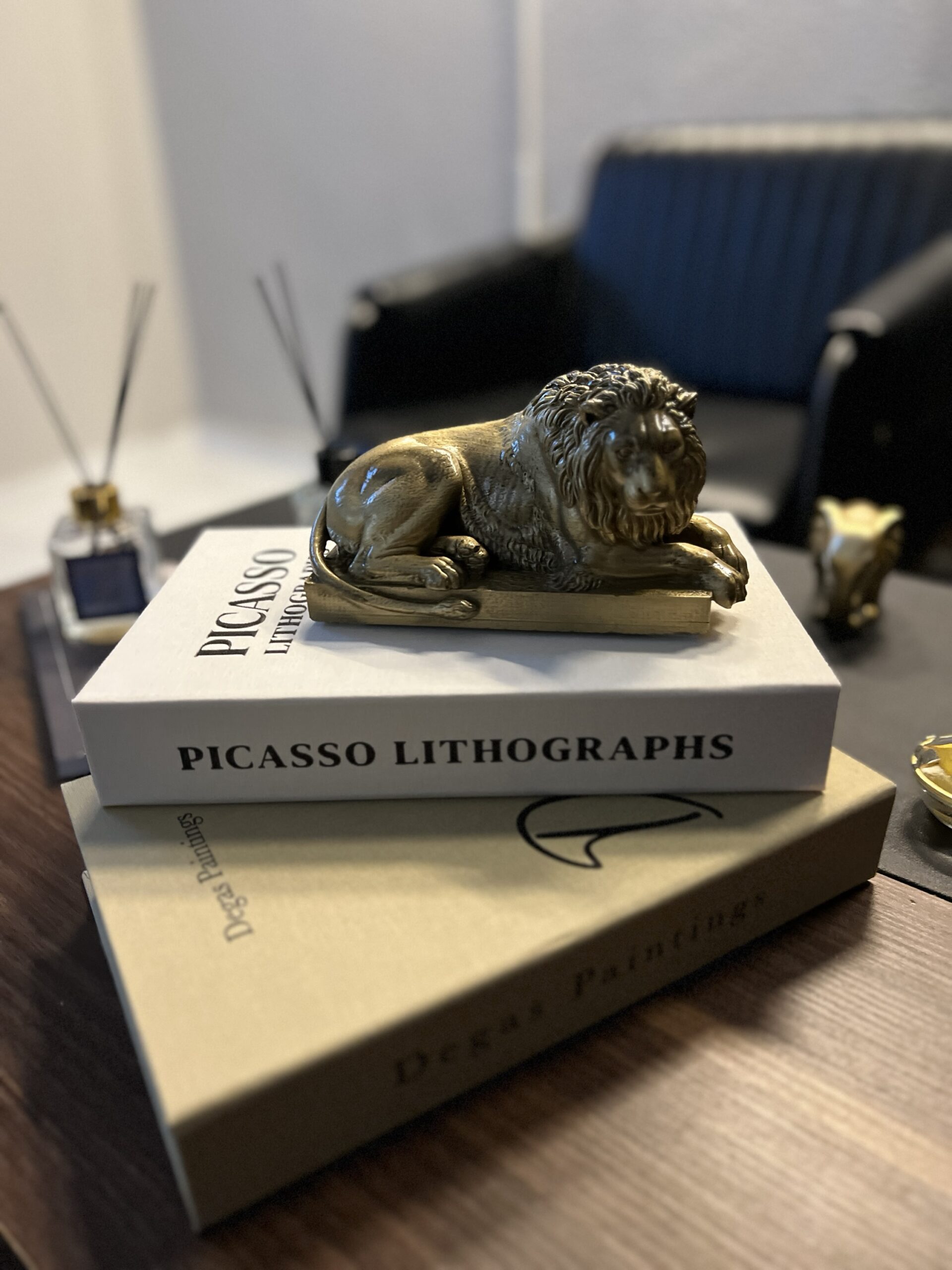 img_9595 Dekorarif Aslan - Görsel 1