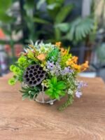 Sükulent Arajman *Çanaklı Sc0001 GÜMÜŞ - Görsel 2