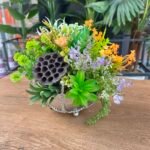 Sükulent Arajman *Çanaklı Sc0001 GÜMÜŞ