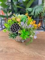 Sükulent Arajman *Çanaklı Sc0001 GÜMÜŞ