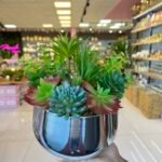 Sükulent Arajman *Derin Sc0002*Gümüş