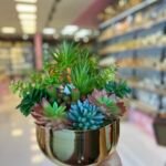 Sükulent Arajman *Derin Sc0002*Eskitme