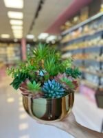 Sükulent Arajman *Derin Sc0002*Eskitme