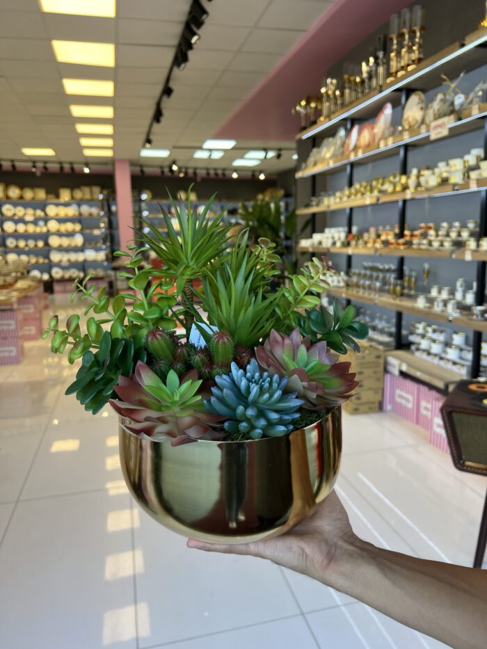 Sükulent Arajman *Derin Sc0002*Eskitme - Görsel 2