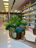 Sükulent Arajman *Derin Sc0002*Eskitme - Görsel 2