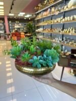 Sükulent Arajman * Sc0005*Ufo Eskitme - Görsel 2