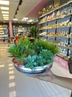 Sükulent Arajman * Sc0005* UFO GÜMÜŞ - Görsel 3