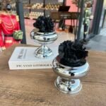 2’Li  SÜKULENT DEKOR KUTU*GÜMÜŞ