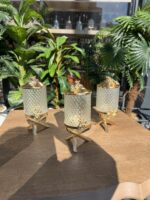 3’Lü Japon Gülü Kavanoz Gold **Brena - Görsel 3