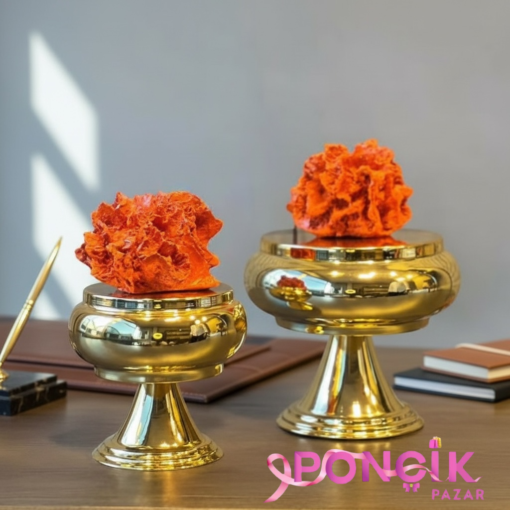 photoroom_20251230_222123 2’Li SÜKULENT DEKOR KUTU - Görsel 1