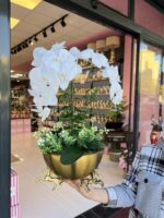 3 Atlı Orkide *ESKİTME