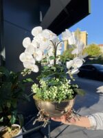 3 Atlı Orkide *GOLD - Görsel 2