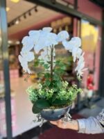 3 Atlı Orkide *Gümüş